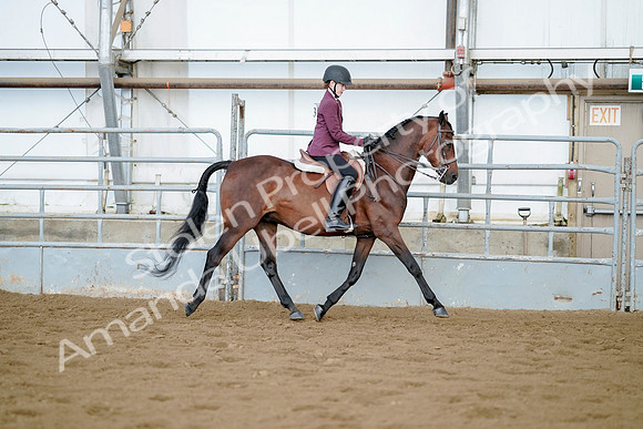 July 21, 2019 - 03381