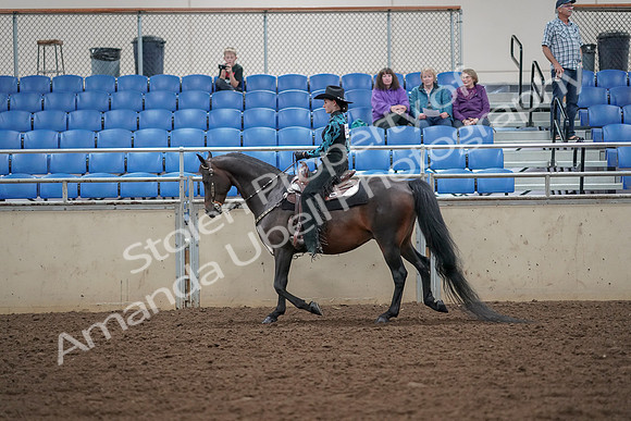 2019 Morgan Horse Show - Aug 30, 2019 - 25887