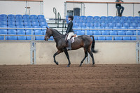 2019 Morgan Horse Show - Sept 01, 2019 - 03663