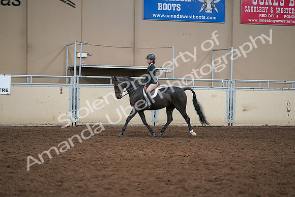 2019 Morgan Horse Show - Aug 30, 2019 - 12194