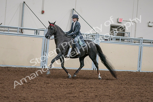 2020 - AB Morgan Horse - Sat, Sept 05 - 13634