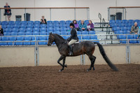 2019 Morgan Horse Show - Aug 30, 2019 - 27194