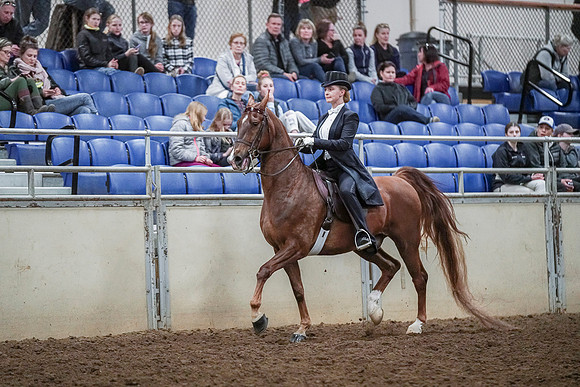 Spring Fling - Saturday - April 20, 2019  -  04412