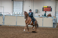 2020 - AB Morgan Horse - Sat, Sept 05 - 09366