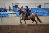 2019 Morgan Horse Show - Aug 30, 2019 - 26767