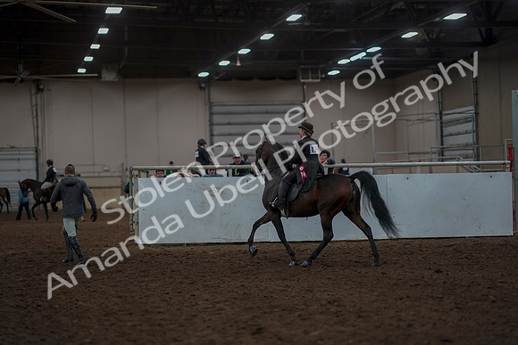 2019 Morgan Horse Show - Aug 30, 2019 - 28346