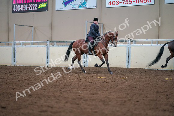 2019 Morgan Horse Show - Aug 30, 2019 - 20860