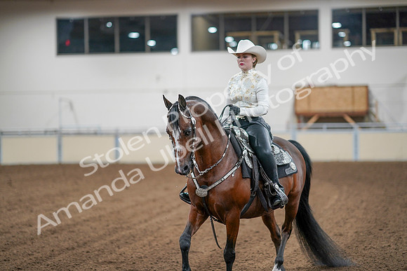 2020 - AB Morgan Horse - Sun, Sept 06 - 07618