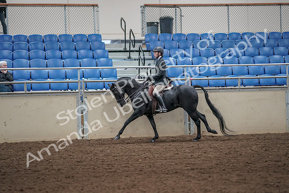 2019 Morgan Horse Show - Aug 31, 2019 - 05060