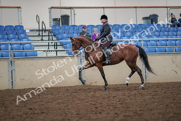2019 Morgan Horse Show - Aug 30, 2019 - 20441