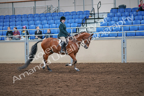 2020 - AB Morgan Horse - Sat, Sept 05 - 05111