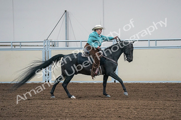 2020 - AB Morgan Horse - Fri, Sept 04 - 00487