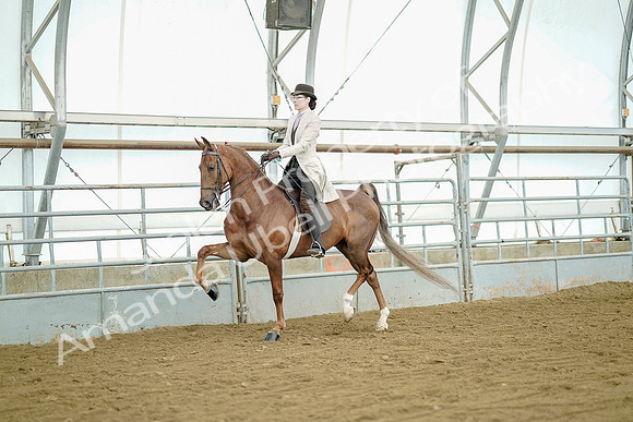 July 20, 2019 - 07733