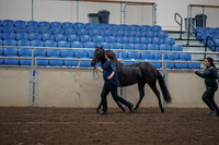 2019 Morgan Horse Show - Aug 31, 2019 - 00501
