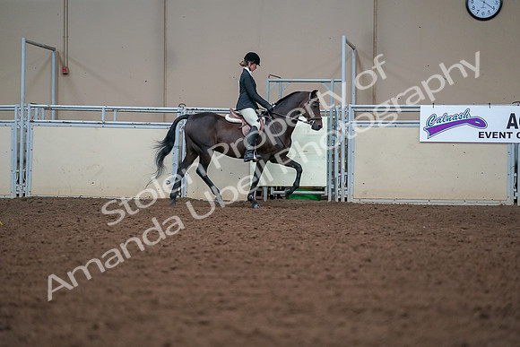 2019 Morgan Horse Show - Aug 30, 2019 - 20802