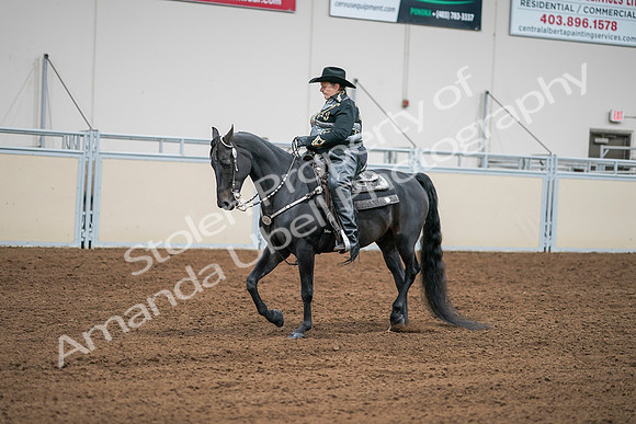2020 - AB Morgan Horse - Sat, Sept 05 - 08959