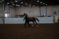 2019 Morgan Horse Show - Aug 30, 2019 - 25523