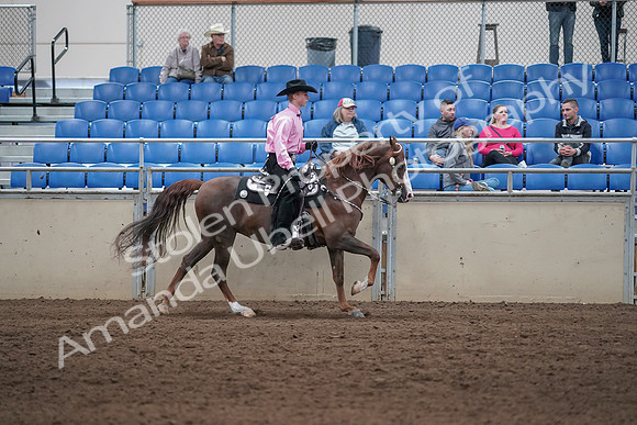 2019 Morgan Horse Show - Sept 01, 2019 - 07057
