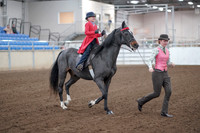 2019 Morgan Horse Show - Sept 01, 2019 - 10683