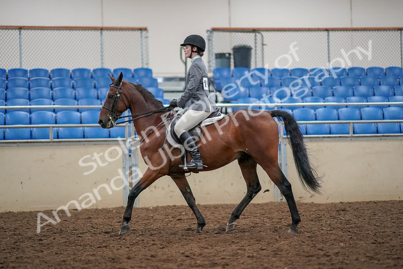 2019 Morgan Horse Show - Aug 30, 2019 - 23211