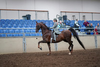 2019 Morgan Horse Show - Aug 30, 2019 - 17773
