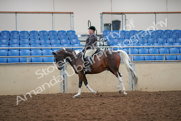 2019 Morgan Horse Show - Aug 30, 2019 - 22331