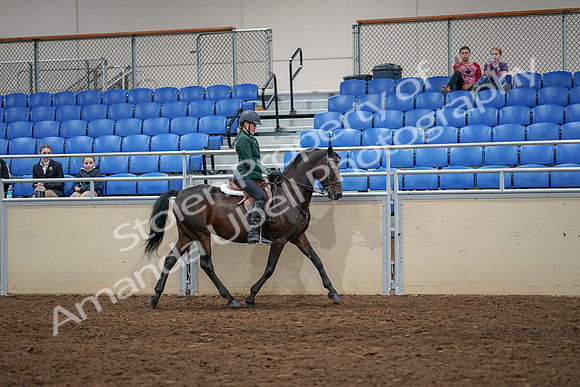 2020 - AB Morgan Horse - Sat, Sept 05 - 05051