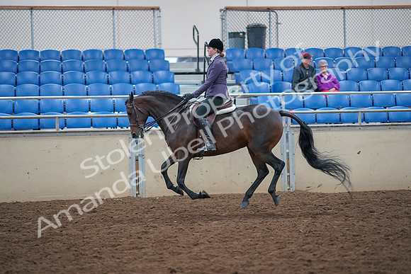 2019 Morgan Horse Show - Aug 30, 2019 - 20593