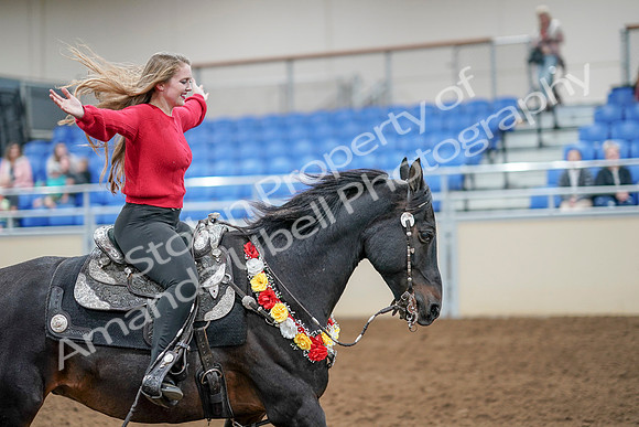 2020 - AB Morgan Horse - Sat, Sept 05 - 10564