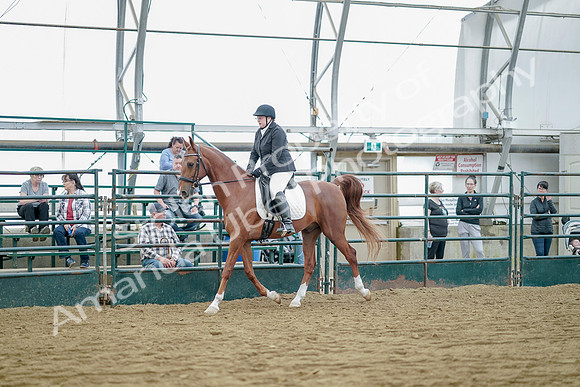 July 21, 2019 - 09588