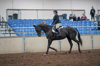 2019 Morgan Horse Show - Aug 31, 2019 - 14638