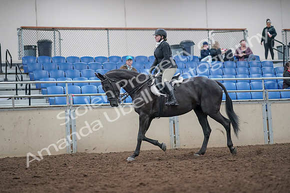 2019 Morgan Horse Show - Aug 31, 2019 - 14638