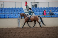 2019 Morgan Horse Show - Aug 31, 2019 - 17126
