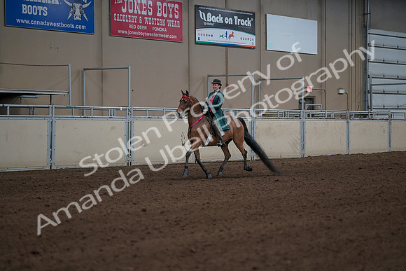 2019 Morgan Horse Show - Sept 01, 2019 - 13438
