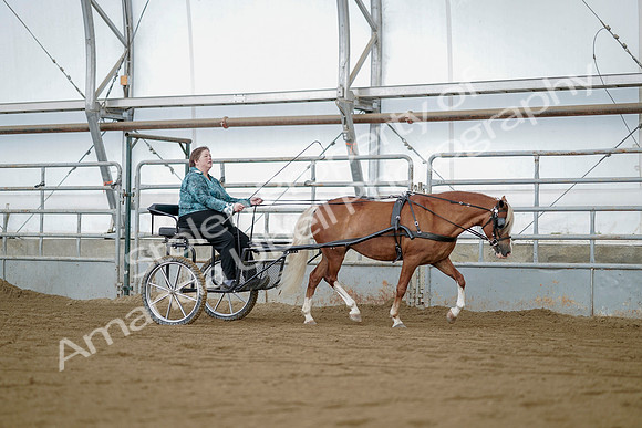 July 21, 2019 - 05990