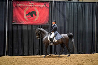 012 - 156 - Arabian Eng Show Hack ATR
