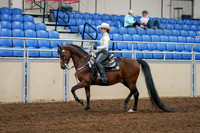 2020 - AB Morgan Horse - Sat, Sept 05 - 08880