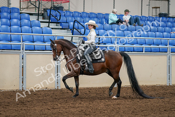 2020 - AB Morgan Horse - Sat, Sept 05 - 08880