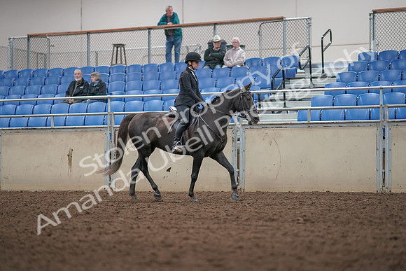 2019 Morgan Horse Show - Aug 31, 2019 - 07372