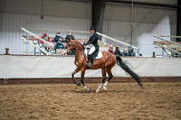 Class 380 - Arabian Eng Show Hack