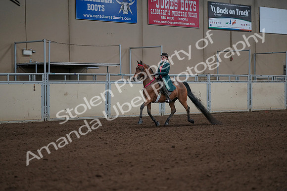 2019 Morgan Horse Show - Sept 01, 2019 - 13450