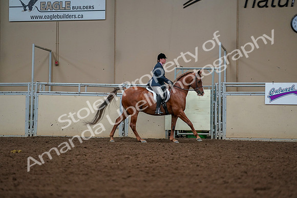 2019 Morgan Horse Show - Aug 30, 2019 - 22472