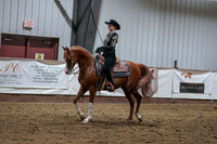 Class 392 - West Horsemanship AATR 19 & Over