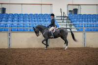 2019 Morgan Horse Show - Aug 30, 2019 - 23114