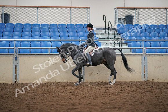 2019 Morgan Horse Show - Aug 30, 2019 - 23114