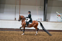 Class 290 - Arabian Eng Show Hack ATR