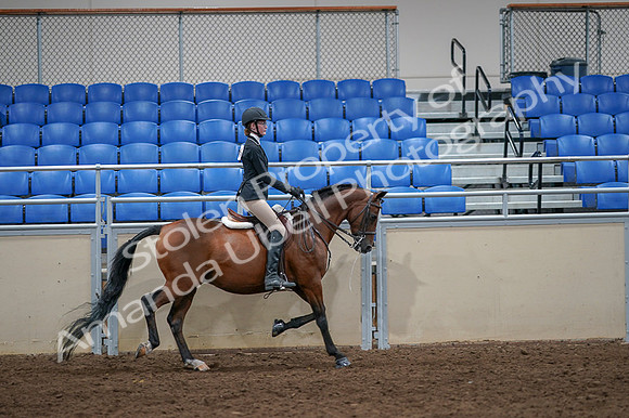 2020 - AB Morgan Horse - Fri, Sept 04 - 06141