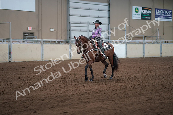 2019 Morgan Horse Show - Sept 01, 2019 - 07203