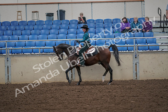 2019 Morgan Horse Show - Aug 30, 2019 - 25918