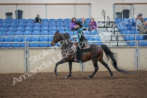 2019 Morgan Horse Show - Aug 30, 2019 - 26094